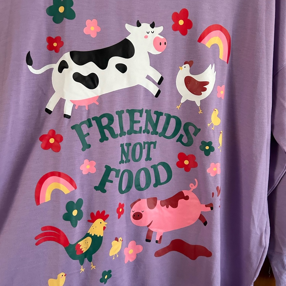 Lularoe Large Hannah- crew neck sweater - Picture 2 of 4